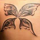 Darwins Finches Butterfly Tattoo