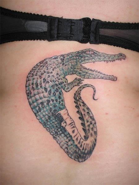 Design Tattoo Tribal Crocodile