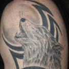 Howling Wolf and Tribal Tattoo