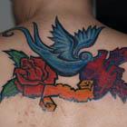 Sparrow, Rose, Heart and Banner Tattoo