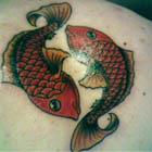 Balance Koi Fish Tattoos