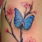 Cherry Blossom Butterflies Tattoo
