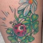 Cartoon Ladybug on Clovers