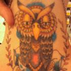 Owl & Blue Rose Neck Tattoo