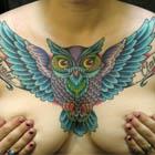 Owl Tattoos Blog