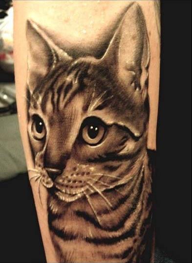 tabby cat tattoo Tabby Cat Tattoo