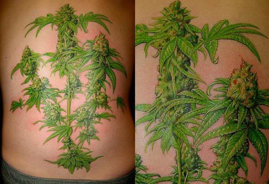 herb tattoo Youd Have to Be High To Get These Tattoos