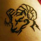 Tribal Aries Ram Tattoo